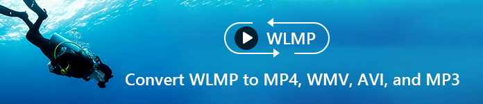 Wlmp viewer for mac download windows 10